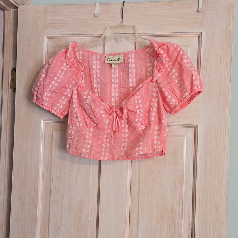 Cleobella Sydney Pink Embroidered Boho Puff Sleeve Crop Top Size S